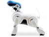 AIBO�^�A�C�{