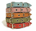 ��ցE���[�h�E�n�[�l�X